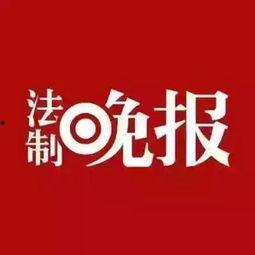 热烈爆料小视频,热烈爆料背后的真相  第2张