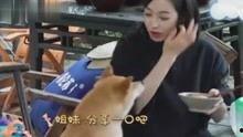 娱乐八卦爆料自制视频,自制视频爆料的惊人内幕大起底  第3张