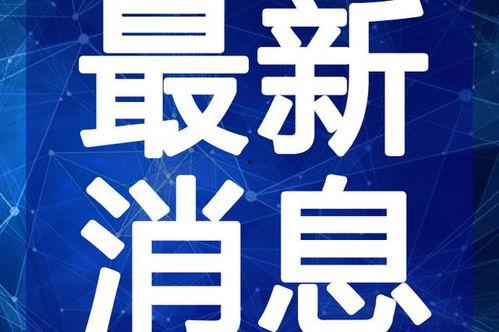 西京最新爆料新闻事件视频,最新爆料新闻事件视频深度解析